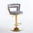 Wardat Set of 2 Bar Chair with Golden Iron Tube Legs-610765599
