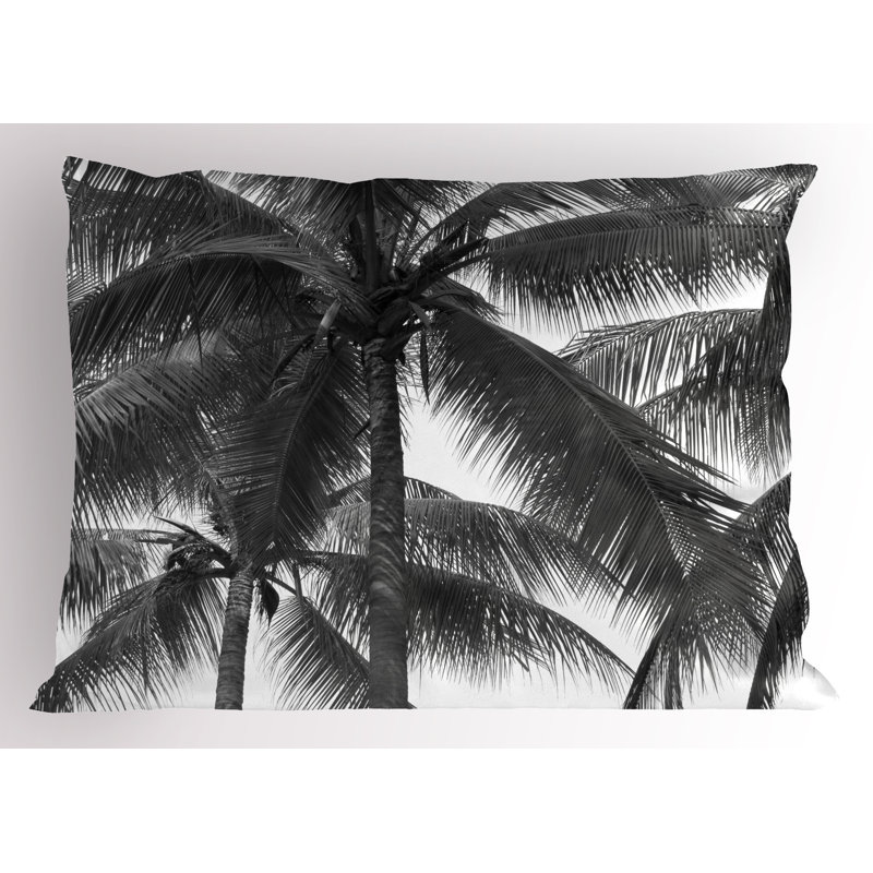 Ensemble de 2 taies décoratives gris Ambesonne, H 20 po x l 26 po