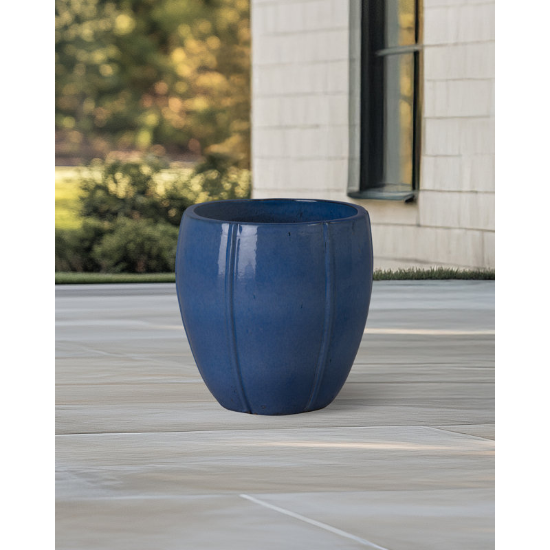 CREST PLANT, NEIGE, H 16,5 po x l 16,5 po x P 16,5 po, Bleu