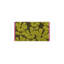 WILDFLOWER-121362605