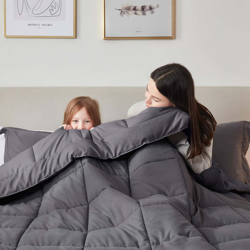 All Season Solid Down Alternative Comforter, King Comforter, Gray