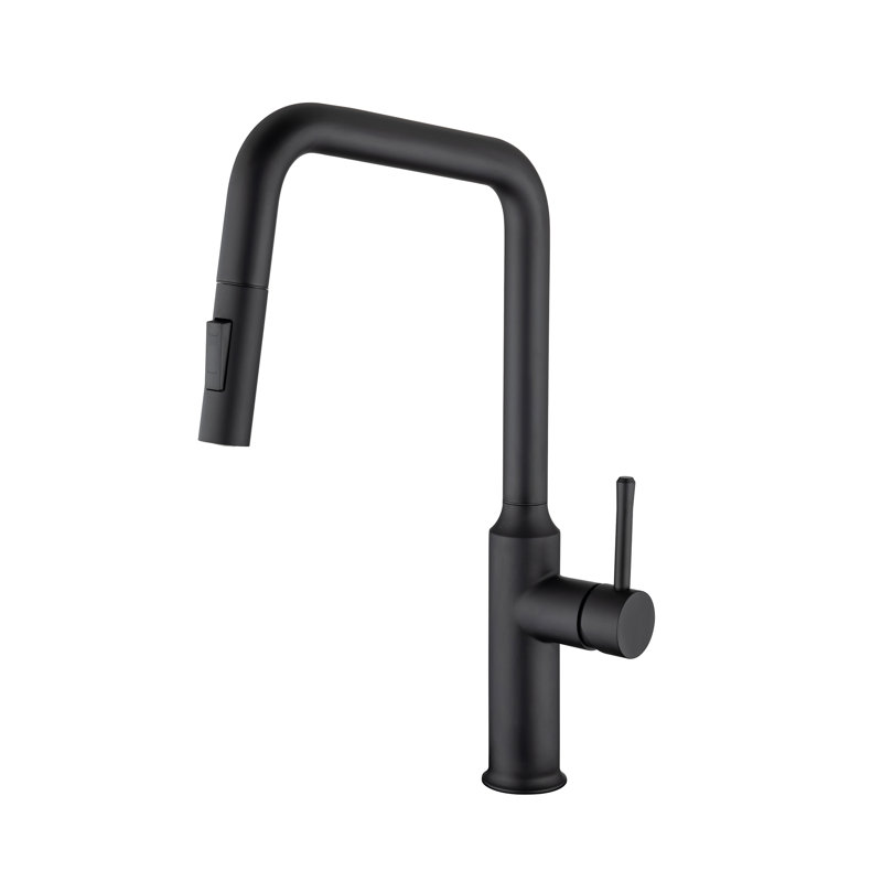 Robinet de cuisine rétractable Rainlex, Noir mat