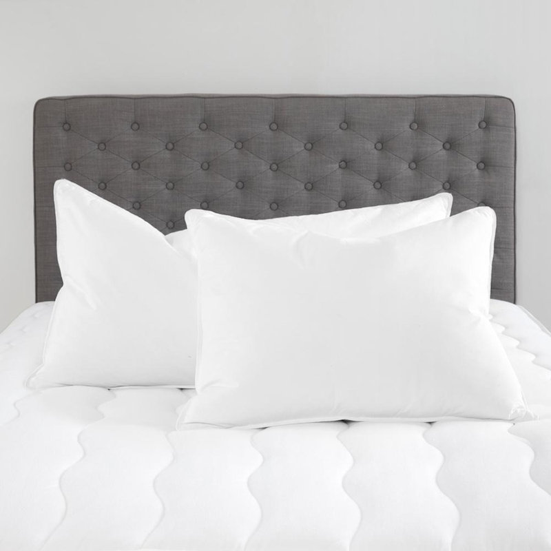 Alwyn Home Goose Feather And Down Bed Pillows For Sleeping Set Of 2 Natural Filling With Premium 100% Cotton Shell - King