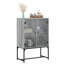 Aanvi Steel Standard Accent Cabinet-1763828317