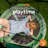 gobaplay FlyMax Saucer Tree Swing, 40" Round Outdoor Platform Saucer Seat, Green