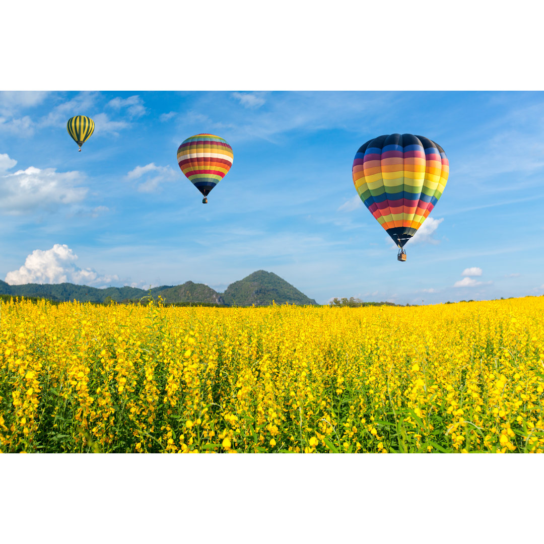 Leinwandbild Heißluftballon über Blumenfeldern gegen den Himmel