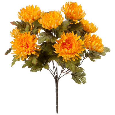 OakRidge Mum Bush