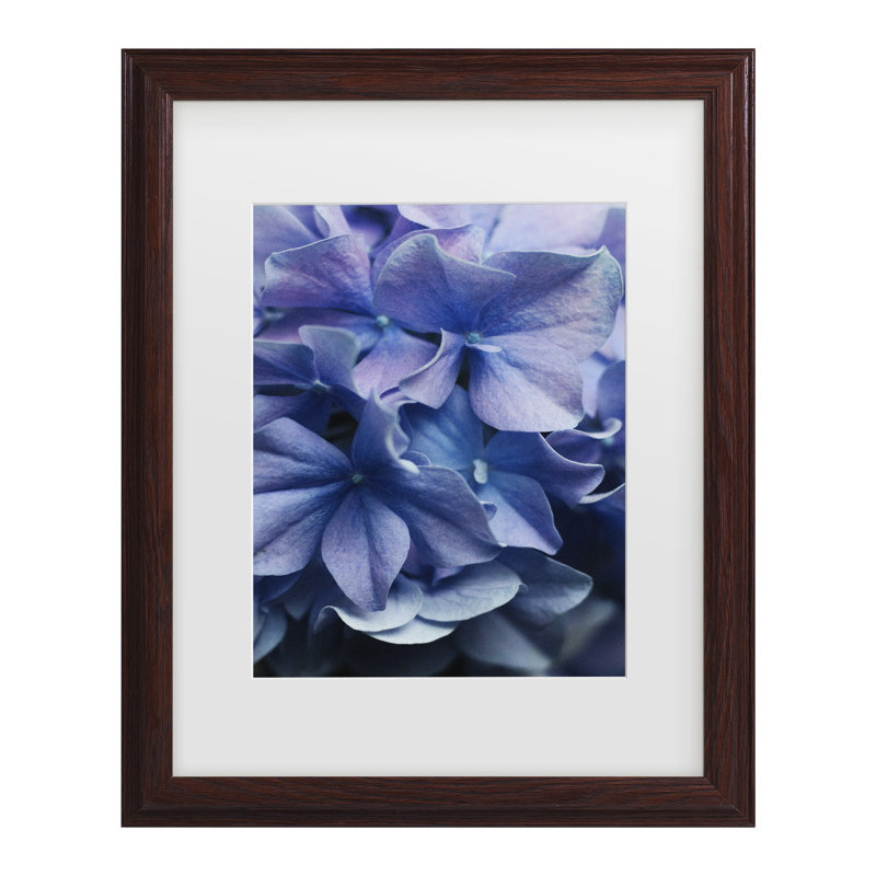 Encadré bolognais, bolognaise, lilas, hortensia, encadré, H 13,75 po x l 16,75 po, Cadre noyer