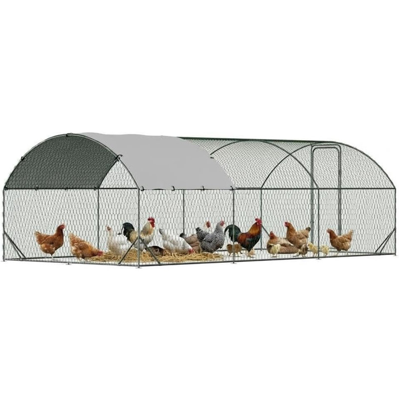 Geraud Chicken Run with Wire Mesh, 198.1cm H x 299.7cm W x 600cm D