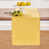 Marigold Yellow