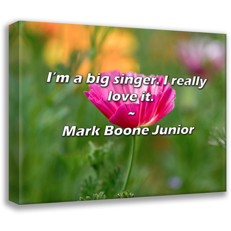 Citation artistique «Je suis un grand chanteur. J'aime vraiment ça.» Toile tendue par Mark Boone, H 33 po x l 48 po