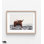 «Highlander» par Van Den, reproduction de photo de vache rustique, idée de décor de vache de montagne, impression de photo de style campagnard