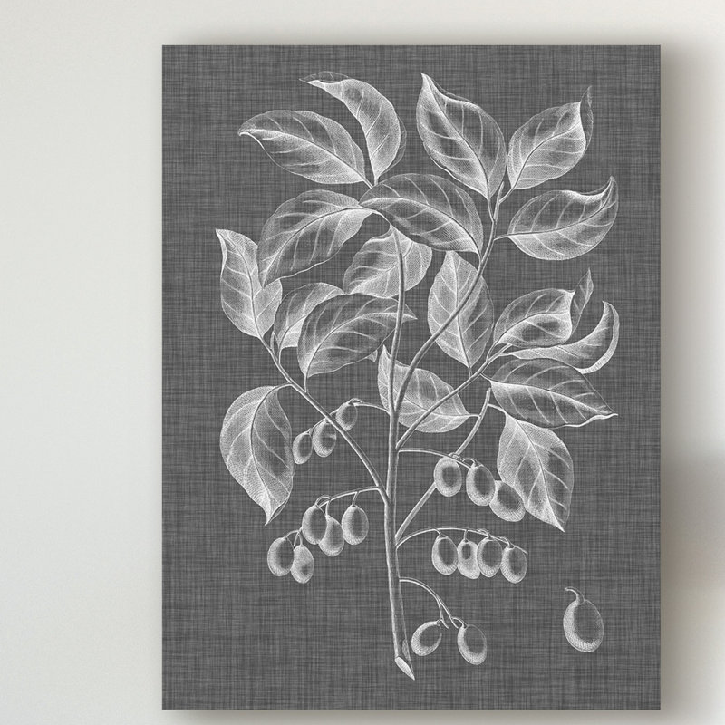 «Graphic Foliage V» par Vision Studio - reproduction de dessin sur toile, H 19 po x l 14 po x P 2 po
