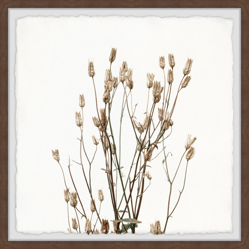 Jaleyah Brown Branches by Marmont Hill - Single Picture Frame Painting Set