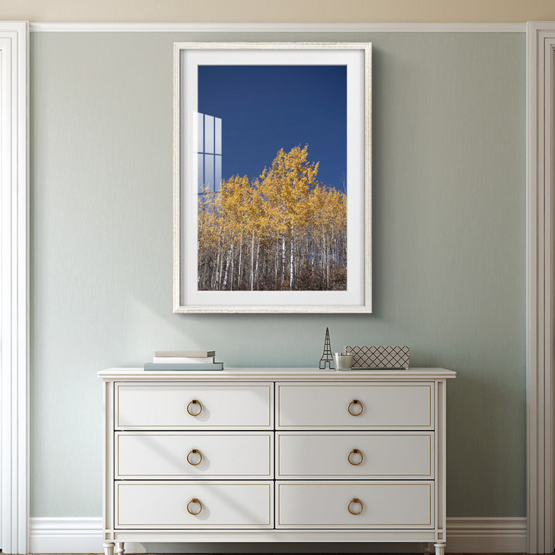 Fruit Collage I -Gallery Wrapped Canvas