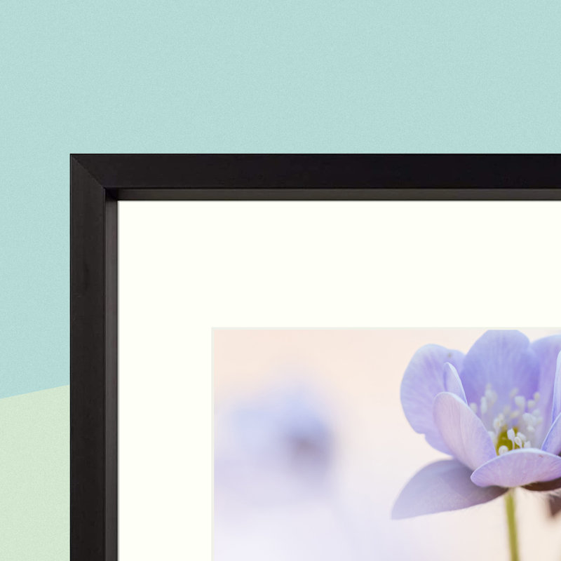 2 Piece Matte Gallery Wall Frame Set, Multi Photo Frames Collage, for Wall or Table Top Display, Black, 11" x 14"