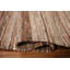 Tapis oriental kilim Earth Tone 2x4