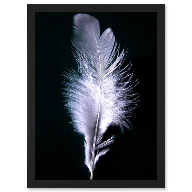 Black White Single Feather Bird - Single Picture Frame Print