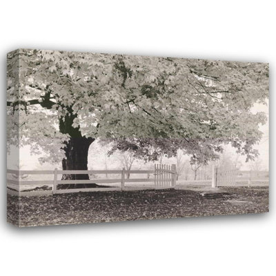 Automne matin MCG-M1644