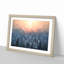 Sun High over Winter a Forest in Abstract - Picture Frame Graphic Art Print-55727318-55727310