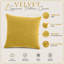 Aldino Square Cushion-1522553851