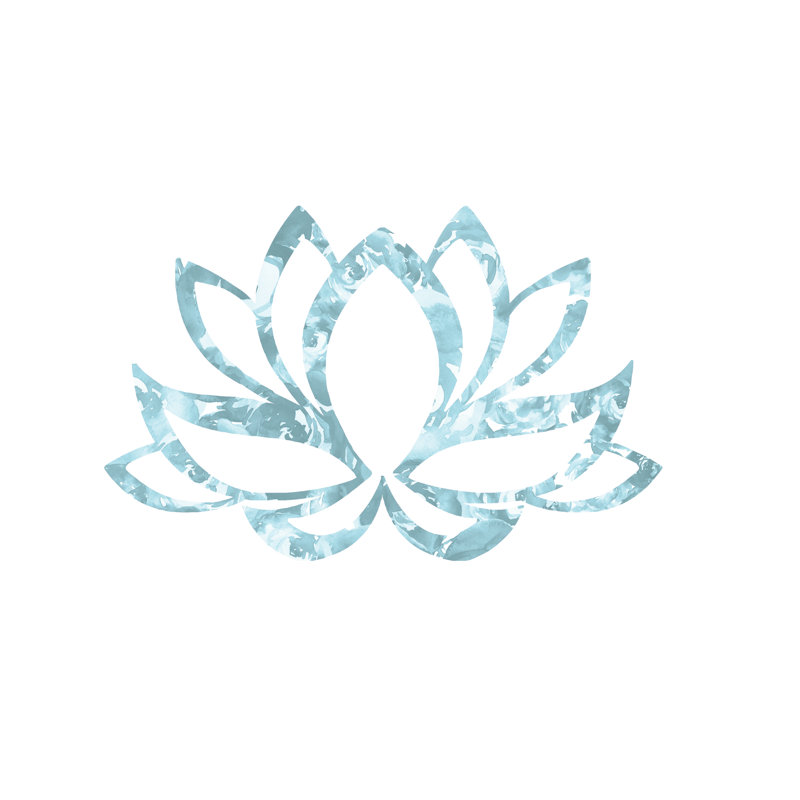 Lotus Icon - Wrapped Canvas Print, 51cm H x 51cm W x 3.8cm D
