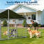 Dog House-2088835231
