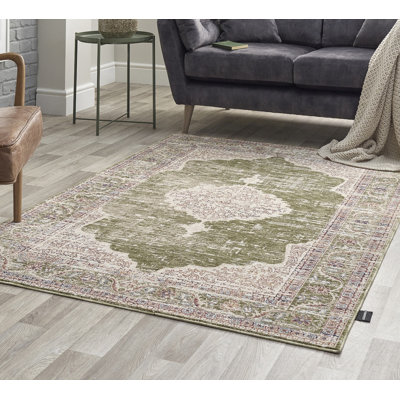 Abbate Rectangle Oriental Area Rug