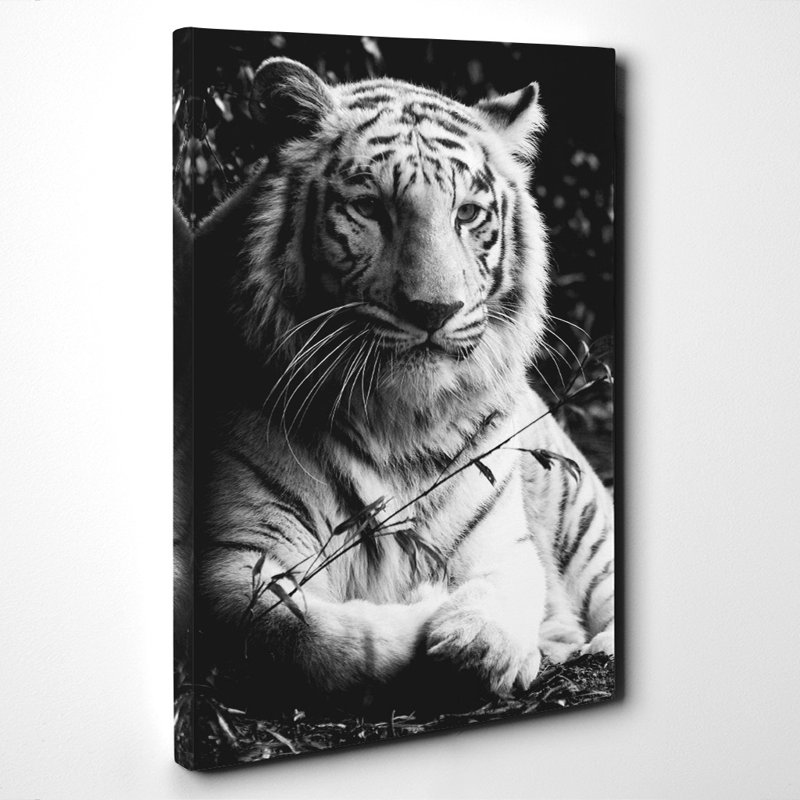 Wrapped Canvas Print, 50cm H x 35cm W