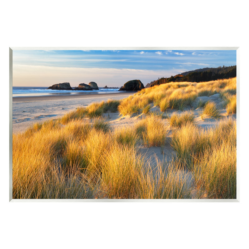 Au-548-Giclée, photographie d'herbe sur le rivage, Giclée encadrée noir minuit, H 11 po x l 14 po x P 1,5 po