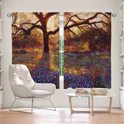 Delaughter Room Darkening Curtains / Drapes Pair