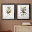 Oiseau antique, botanique et œuf I - ensemble de 2 reproductions d'art sur papier encadré-1329192741-1329192762