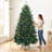Christmas Tree with Lights