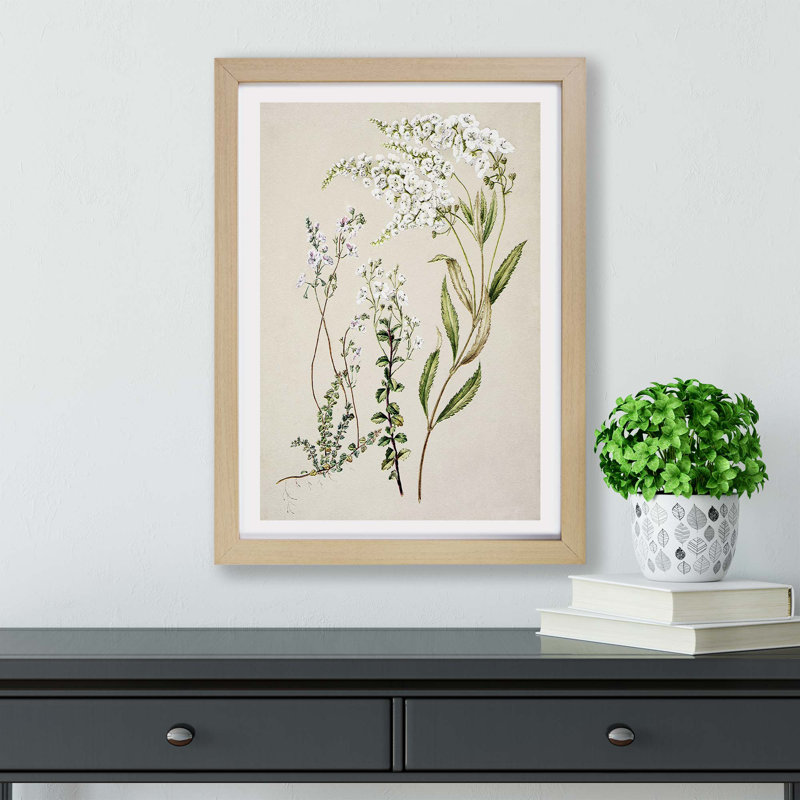 Veronica Flowers - Framed Print, 33cm H x 45cm W x 2cm D, Oak