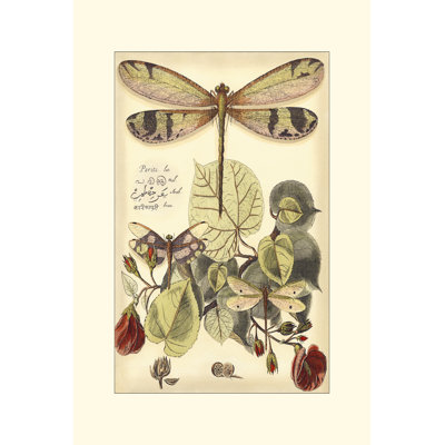 Whimsical Dragonflies II - Wrapped Canvas Painting
