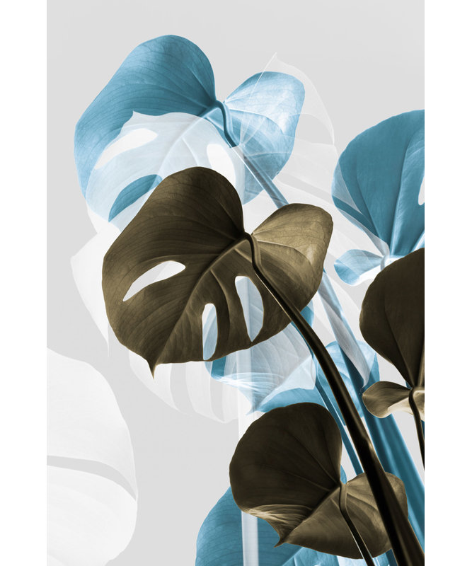 Wrapped Canvas Print, 76.2 cm H x 50.8 cm W