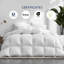 Édredon en duvet d'oie blanche hongrois de luxe 750 avec couche de coton biologique Tencel 300T - super très grand-130132958