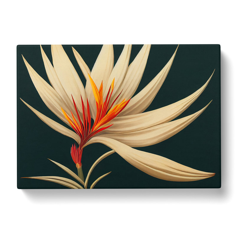 The Bird Of Paradise Flower Vol.4 - Wrapped Canvas, 40cm H x 60cm W x 3cm D