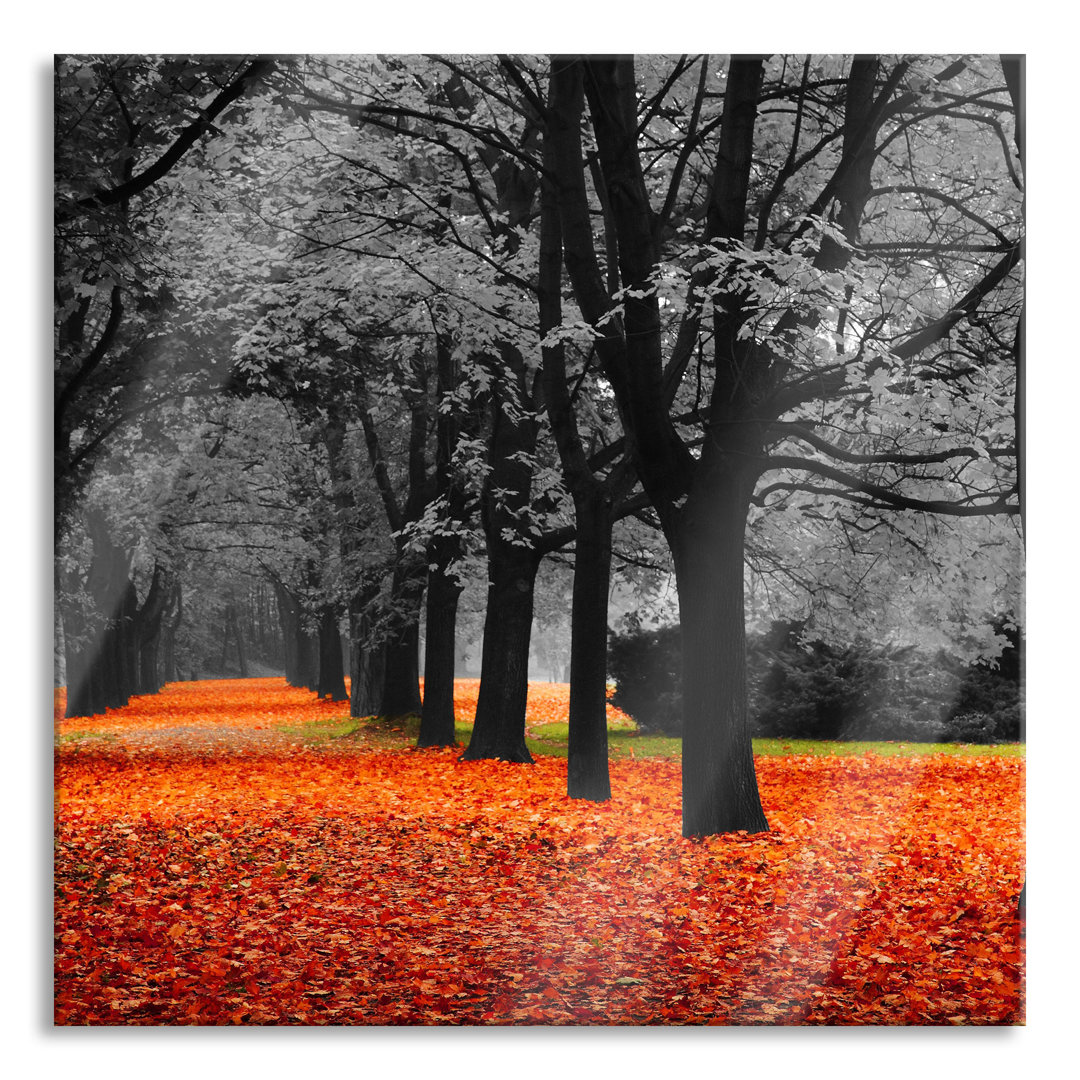 Glasbild Schöner Waldweg im Herbst