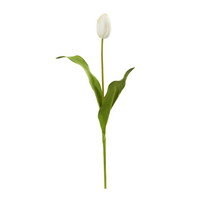 Tulip Arrangement