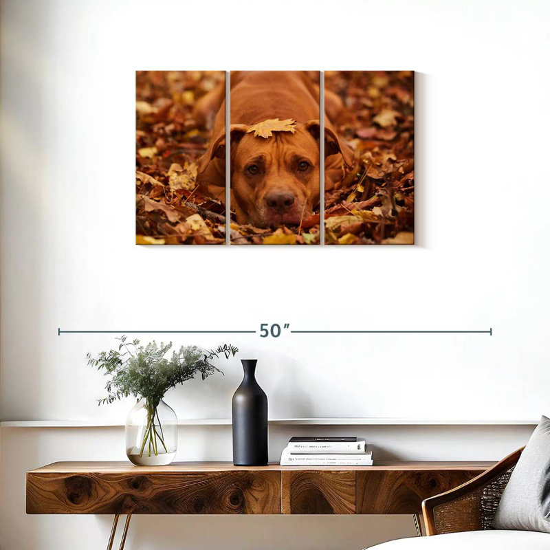 Mignon Pitbull d'automne, H 20 po x l 33 po