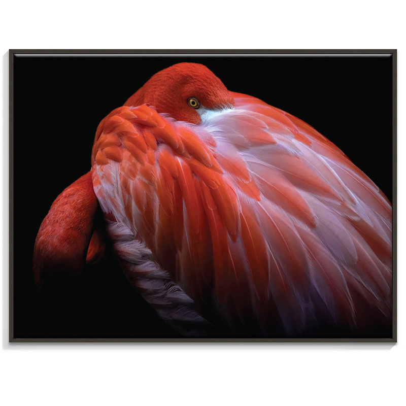 Photographers Lane - Wrapped Canvas Print, Black, 41cm H x 51cm W