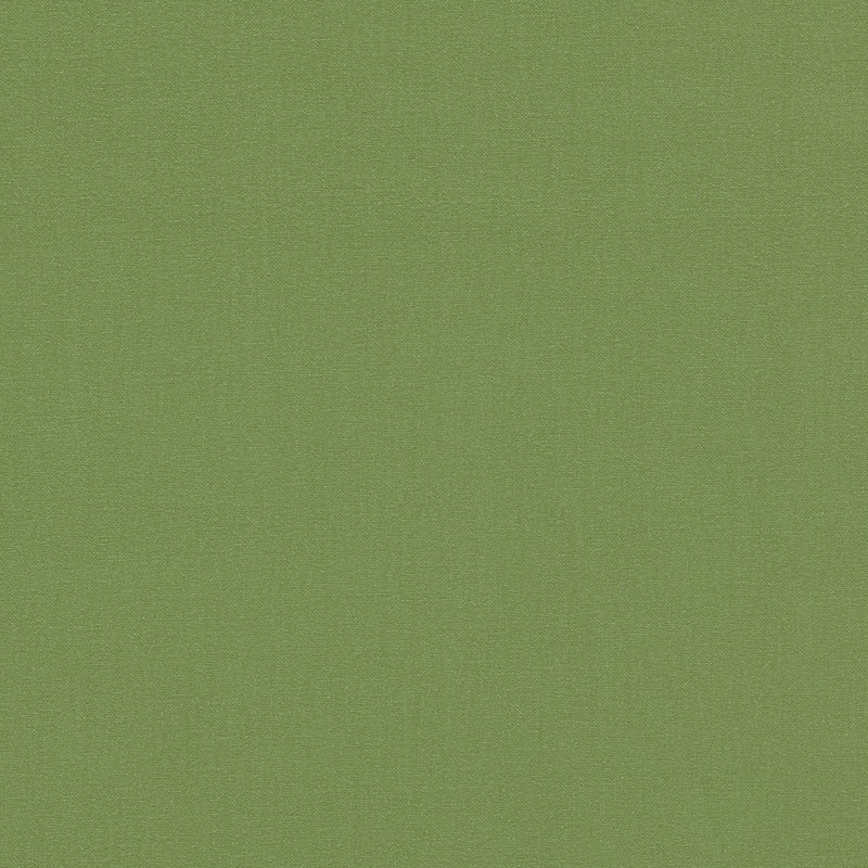 Allegra, Artichoke