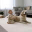 Schnabel Solid Colour Area Rug-570970561