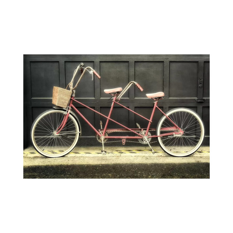 Tandem by MScottPhotography - Wrapped Canvas Print, 45.72cm H x 66.04cm W x 1.91cm D