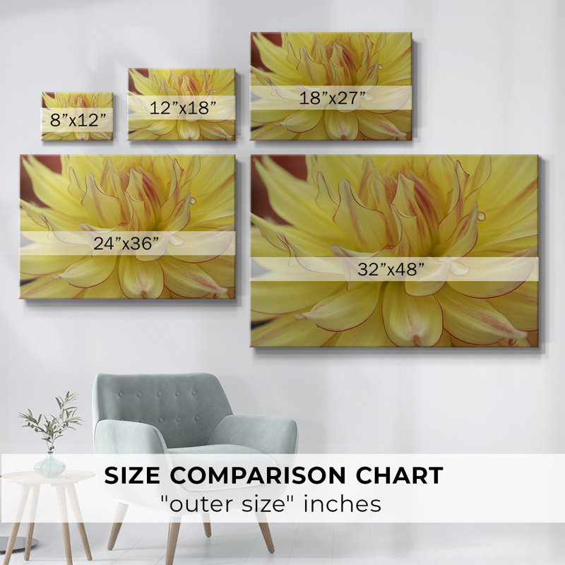 Toile tendue Blooms I-Gallery, H 12 po x l 18 po