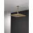 Rain Fixed Shower Head with H2Okinetic Technology