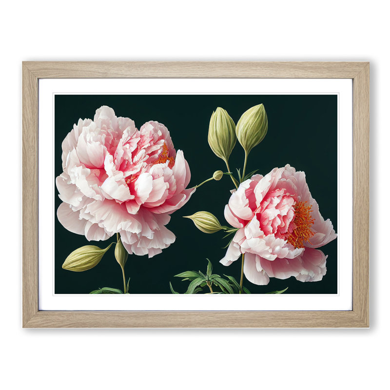 Fascinating Peony Flowers 1 Piece Single Picture Frame Wall Art, 46cm H x 64cm W x 2cm D, Oak Framed