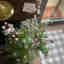 Photos des clients 1 de 3