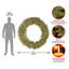 Couronne de Douglas Downswept-541789713-541789715